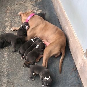 Meet your Posher, James